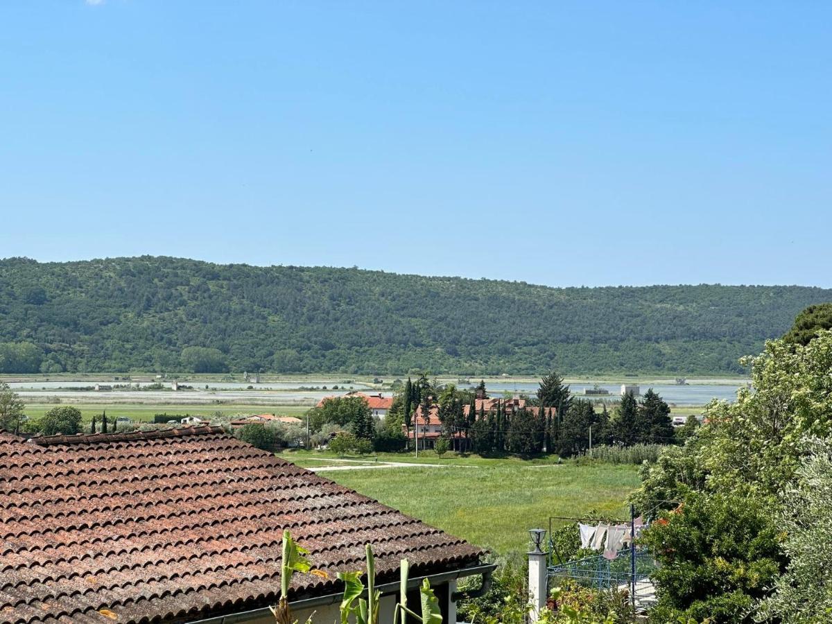Apartma Zonta Сечовле Экстерьер фото