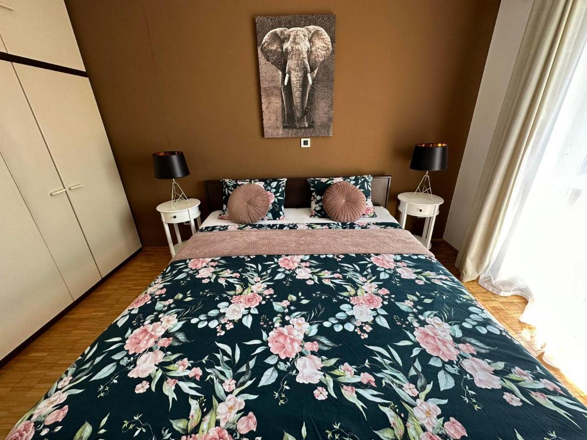 Apartma Zonta Сечовле Экстерьер фото